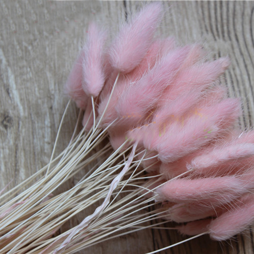 50pcs dried natural flower bou - đánh giá và giá Dried Flower Bunch