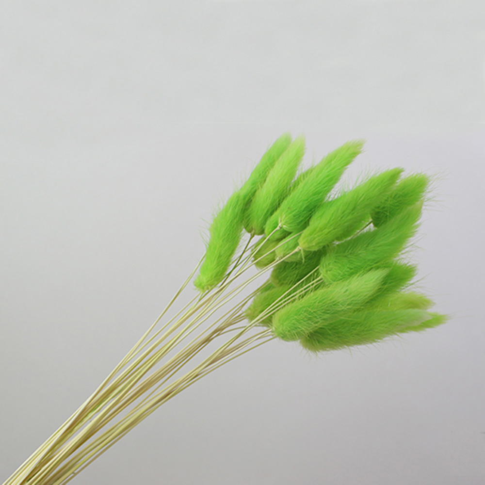 50pcs dried natural flower bou - đánh giá và giá Dried Flower Bunch