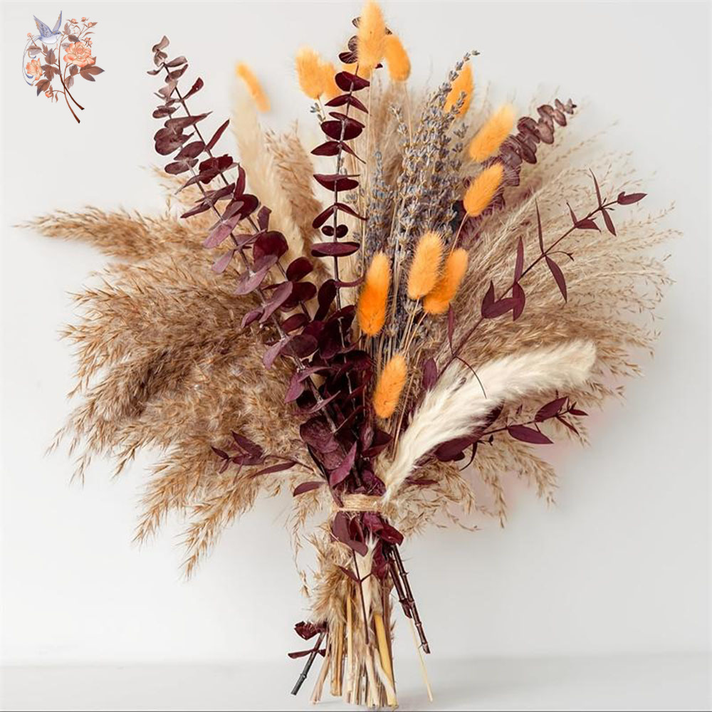 75PCS Dried Pampas Eucalyptus  - đánh giá và giá Dried Flower Bunch