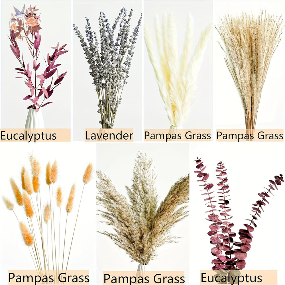 75PCS Dried Pampas Eucalyptus  - đánh giá và giá Dried Flower Bunch