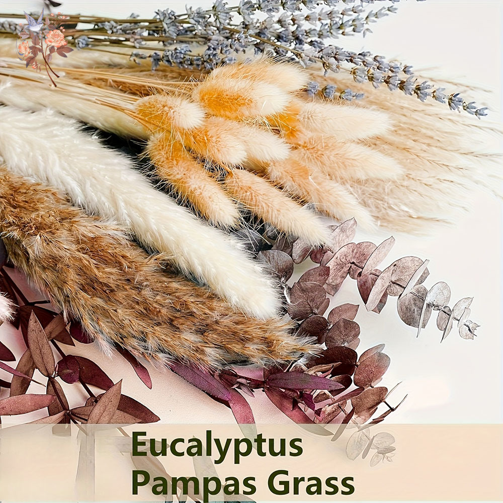 75PCS Dried Pampas Eucalyptus  - đánh giá và giá Dried Flower Bunch