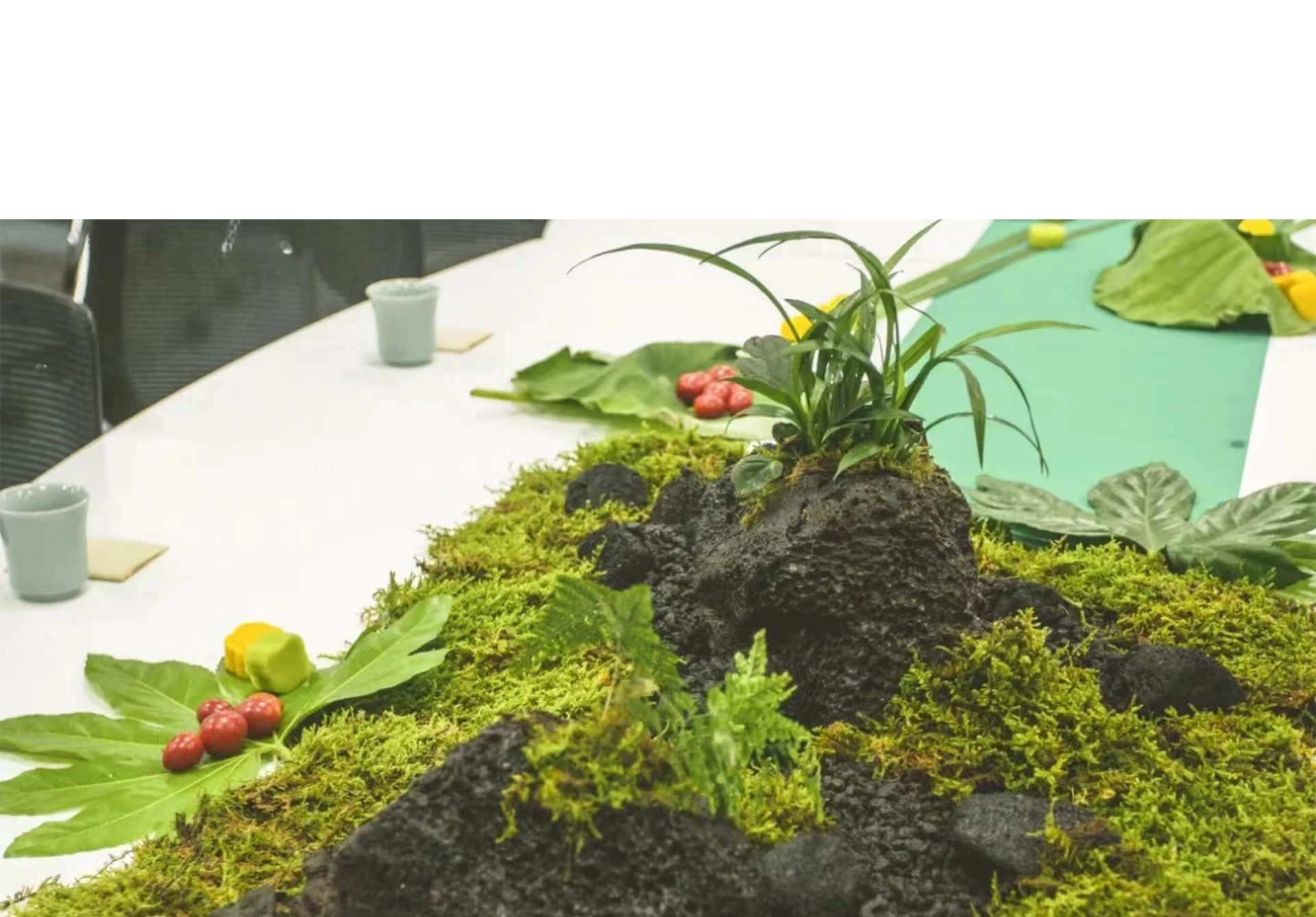 Giả Rêu Nhân Tạo Rêu Cho Chậu  - đánh giá và giá Preserved Moss Sheet