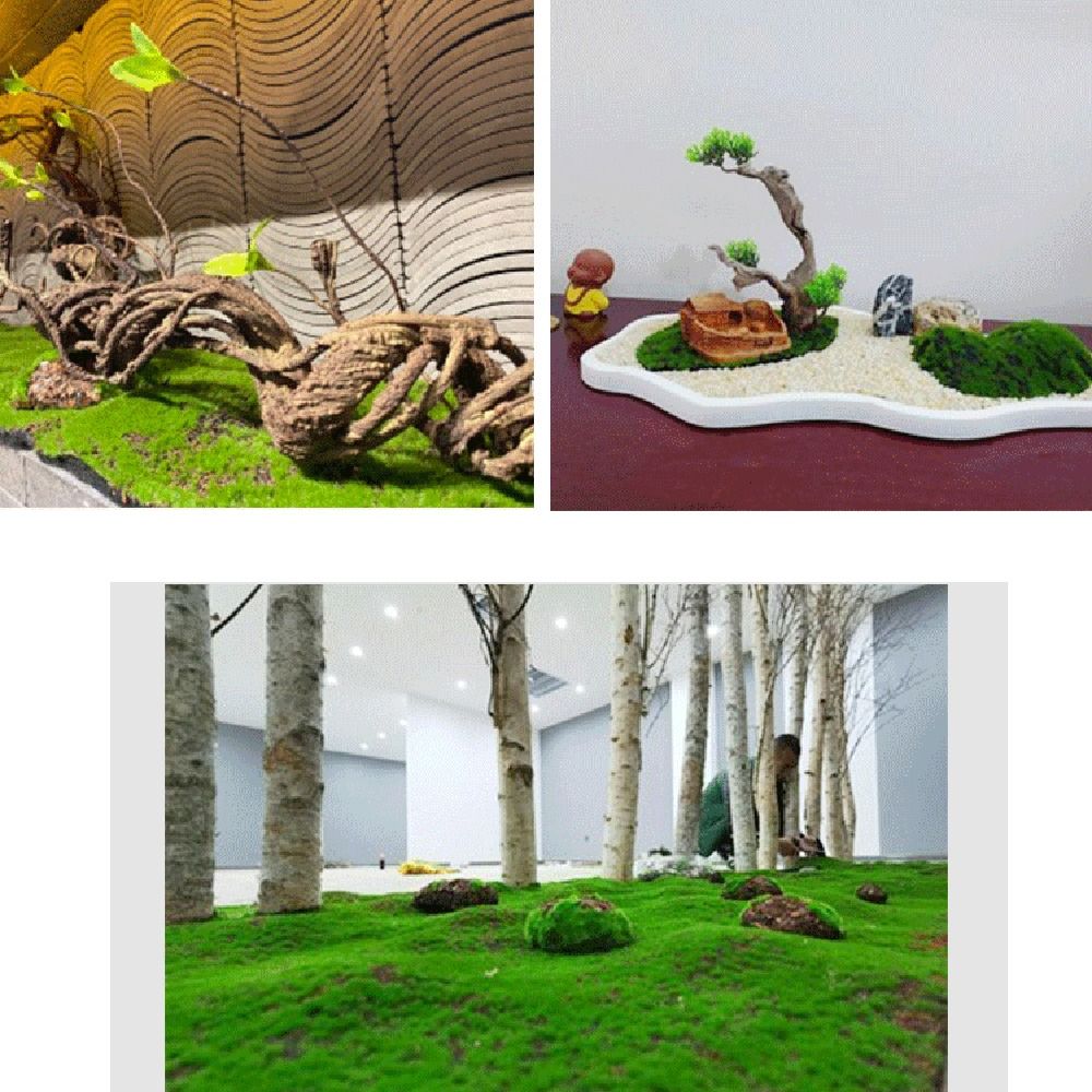 DIY Fake Moss Grass Turf Durab - đánh giá và giá Preserved Moss Sheet