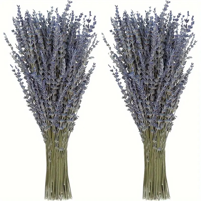 200pcs/Bunch Lavender Dried Fl - đánh giá và giá Dried Flower Bunch