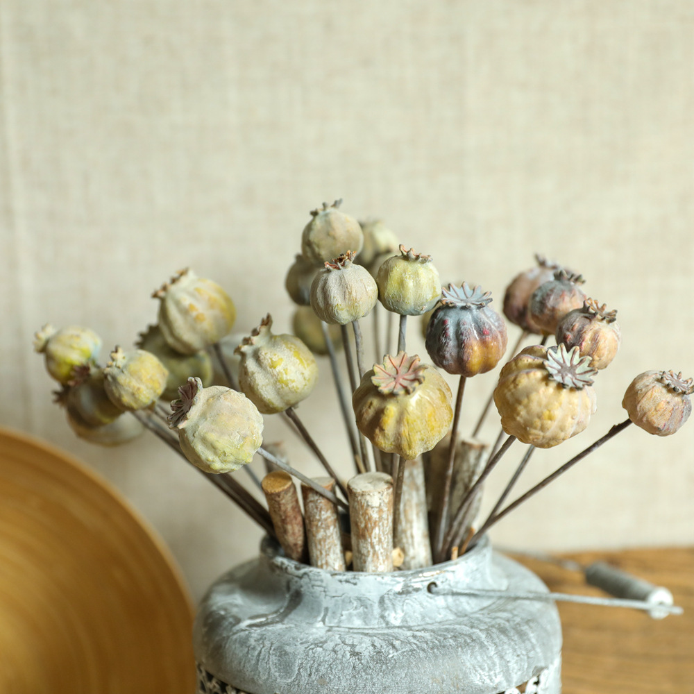6Heads Poppies Fruit Dried Flo - đánh giá và giá Dried Flower Bunch