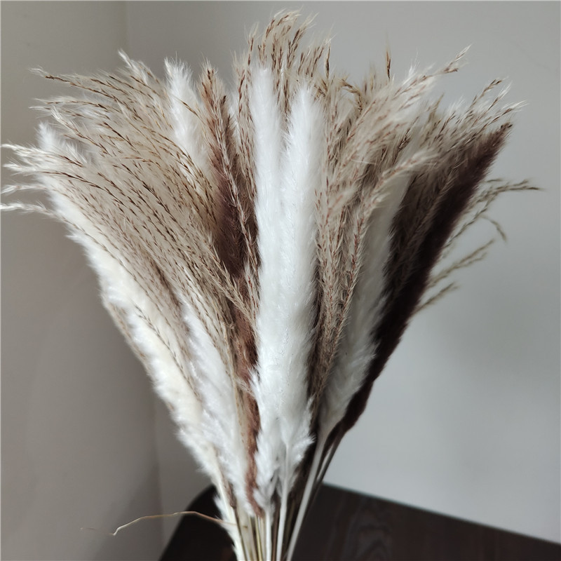 15/30pcs Mixed Dried Flower Bo - đánh giá và giá Dried Flower Bunch