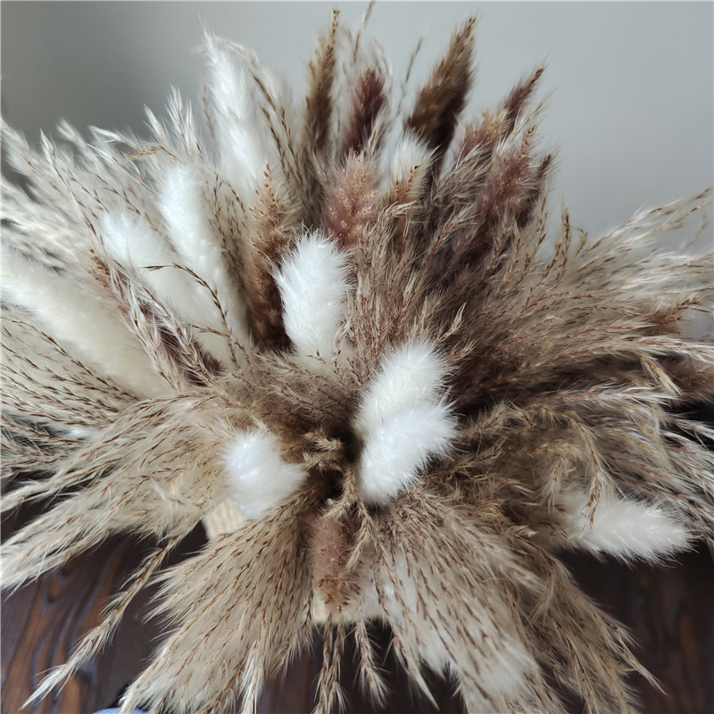 15/30pcs Mixed Dried Flower Bo - đánh giá và giá Dried Flower Bunch