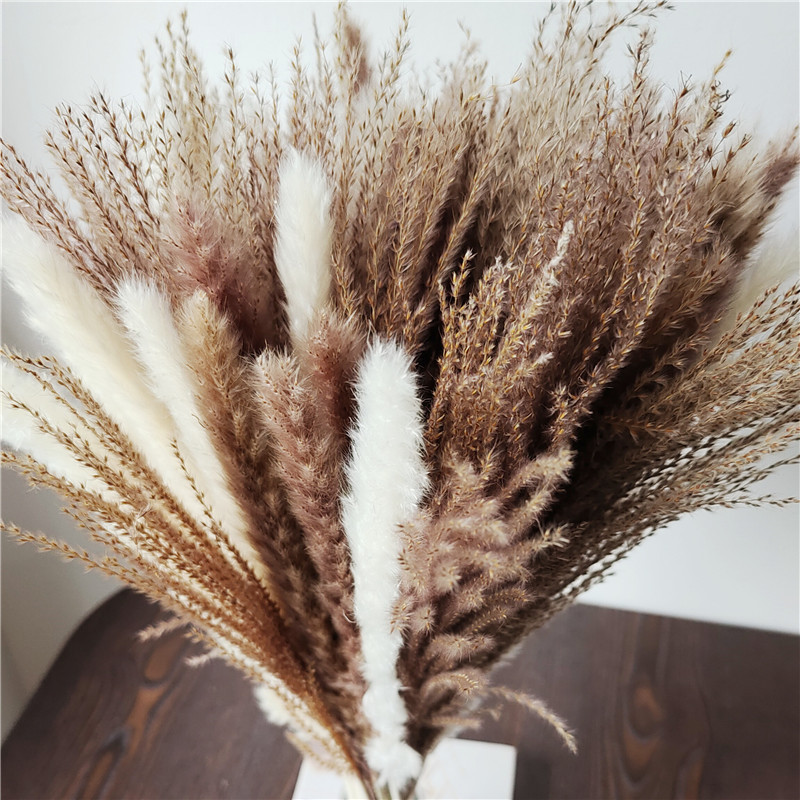 15/30pcs Mixed Dried Flower Bo - đánh giá và giá Dried Flower Bunch