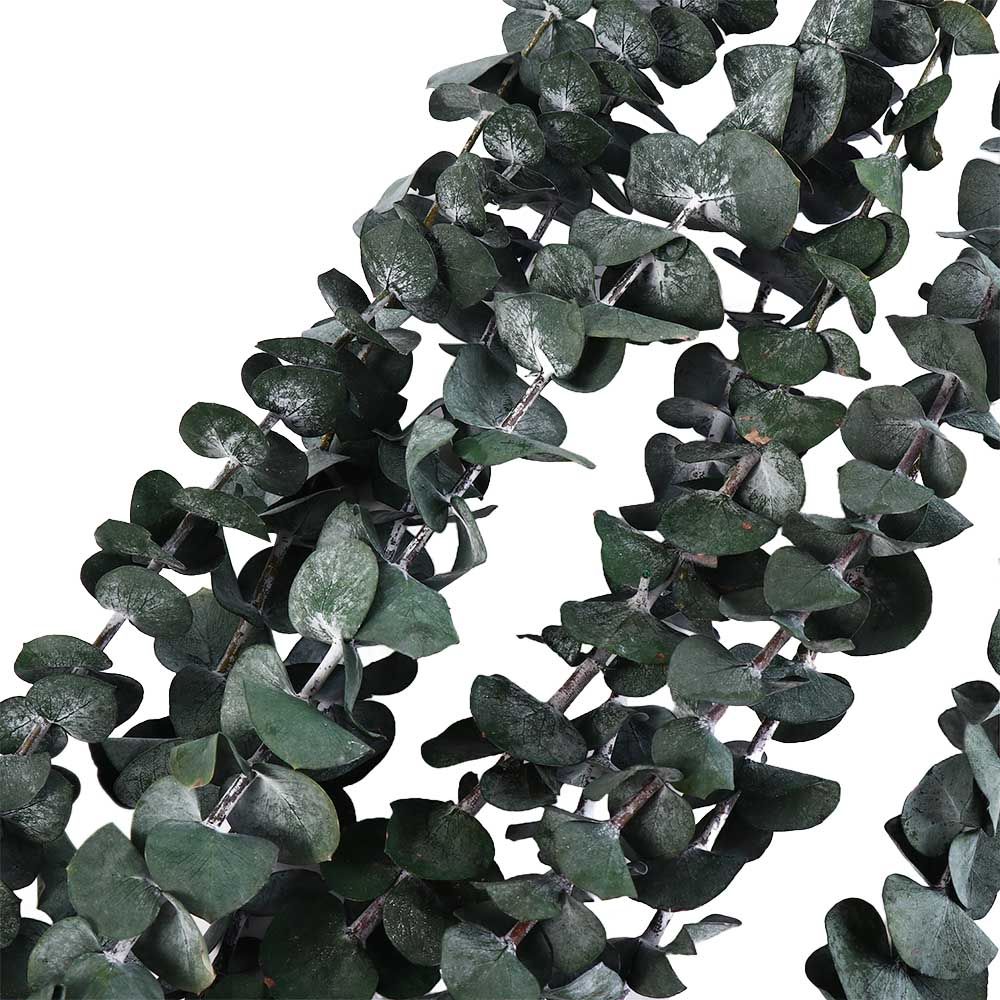 10 Pcs Real Leaves Hanging Dri - đánh giá và giá Eucalyptus Preserved
