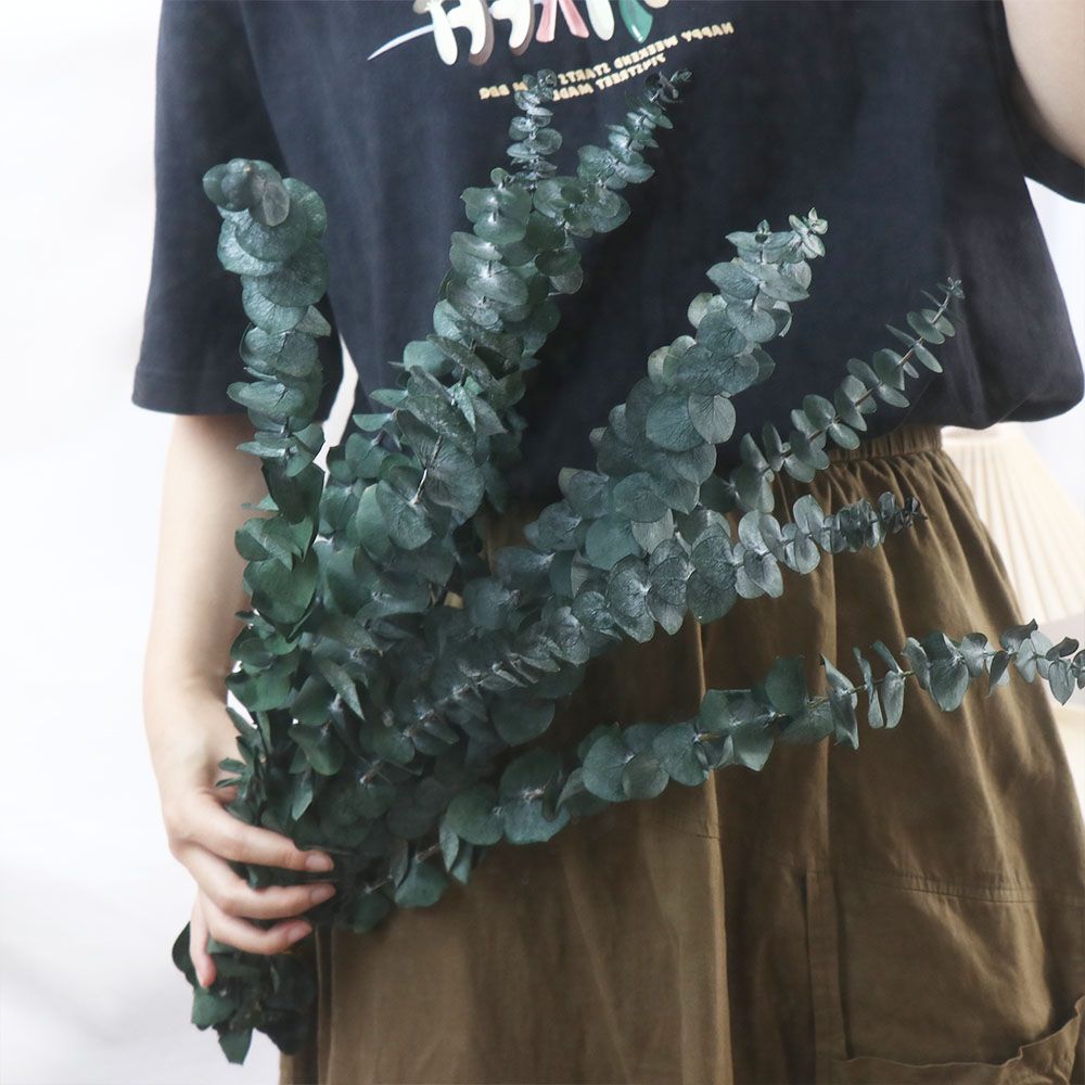 10 Pcs Real Leaves Hanging Dri - đánh giá và giá Eucalyptus Preserved