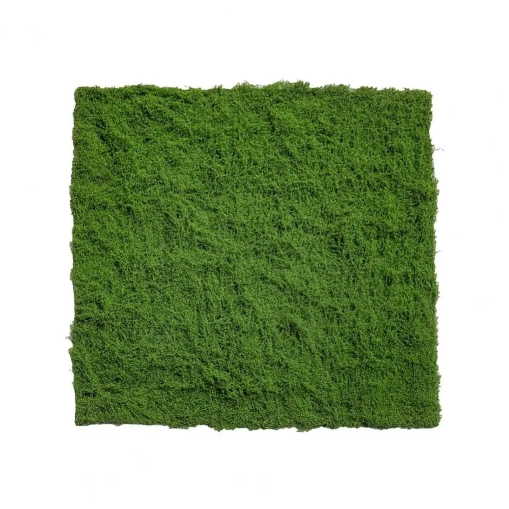 DIY Artificial Grass Rug Durab - đánh giá và giá Preserved Moss Sheet