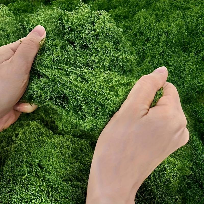 20' X 20' Faux Moss Mat for Pl - đánh giá và giá Preserved Moss Sheet
