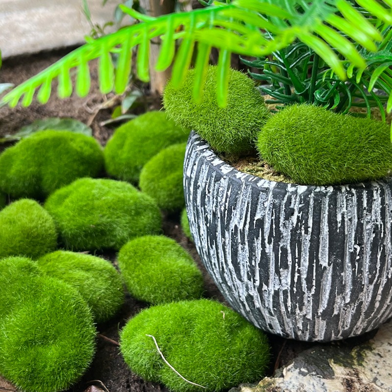100/5PCS Artificial Moss Rock  - đánh giá và giá Preserved Moss Sheet