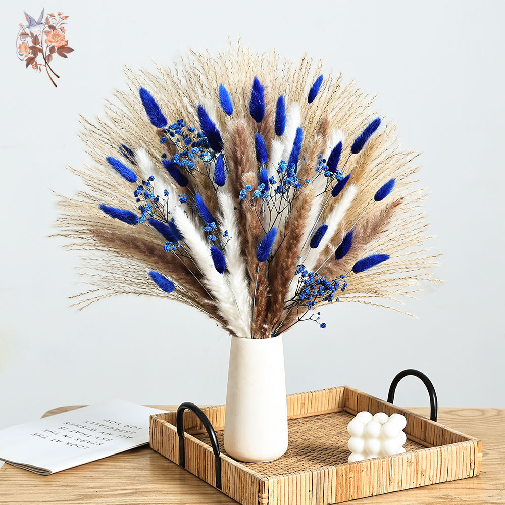70 Stem Blue Fluffly Rabbit Ta - đánh giá và giá Dried Flower Bunch