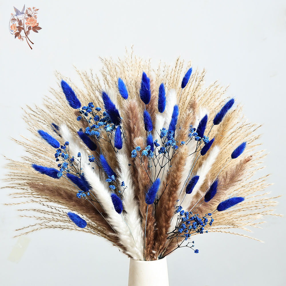 70 Stem Blue Fluffly Rabbit Ta - đánh giá và giá Dried Flower Bunch