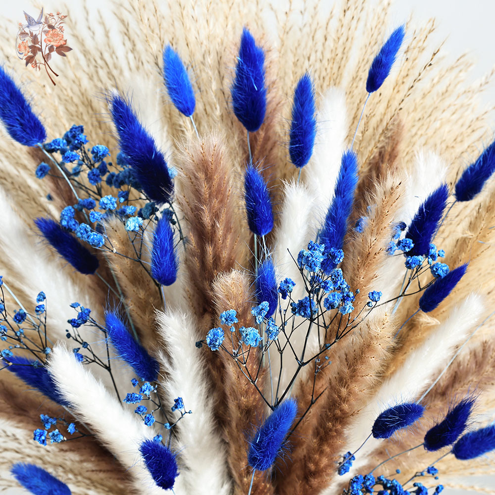 70 Stem Blue Fluffly Rabbit Ta - đánh giá và giá Dried Flower Bunch