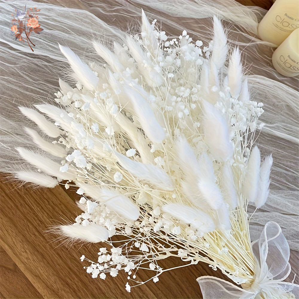 54Pcs White Dried Flower Brida - đánh giá và giá Dried Flower Bunch