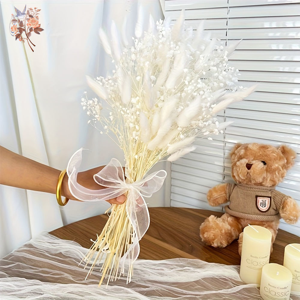 54Pcs White Dried Flower Brida - đánh giá và giá Dried Flower Bunch