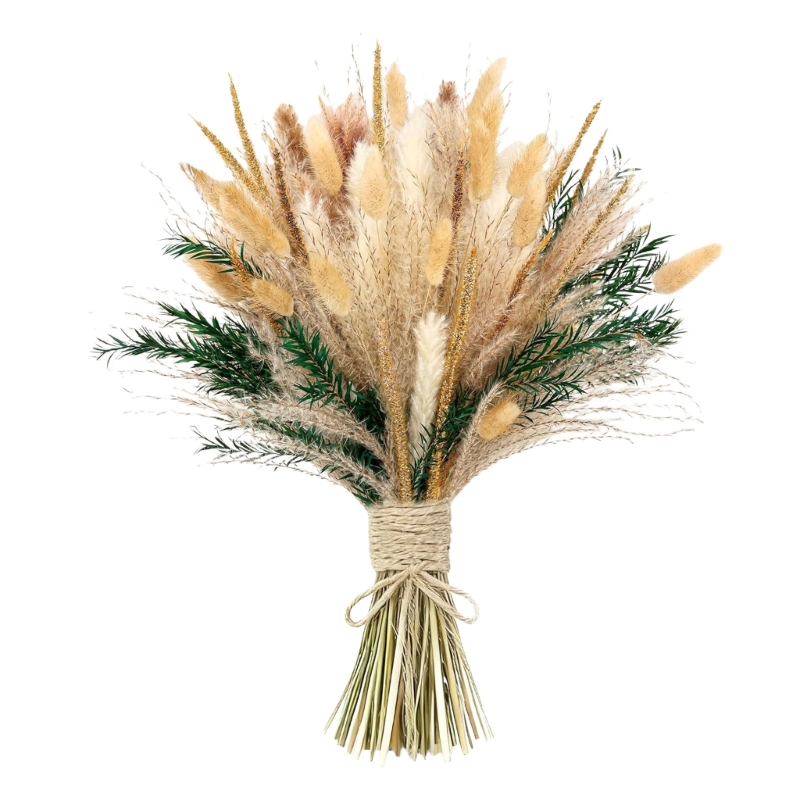 Số Lượng Lớn 100 Chiếc Cỏ Pamp - đánh giá và giá Dried Flower Bunch