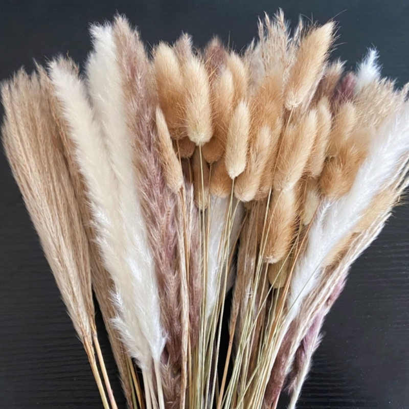 Số Lượng Lớn 100 Chiếc Cỏ Pamp - đánh giá và giá Dried Flower Bunch