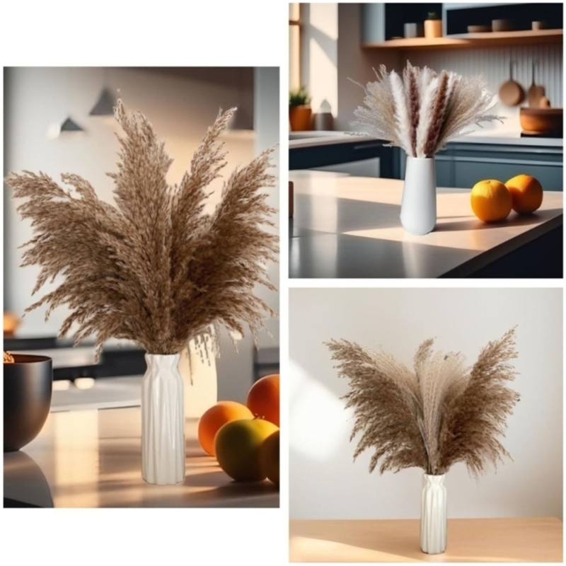 Số Lượng Lớn 100 Chiếc Cỏ Pamp - đánh giá và giá Dried Flower Bunch