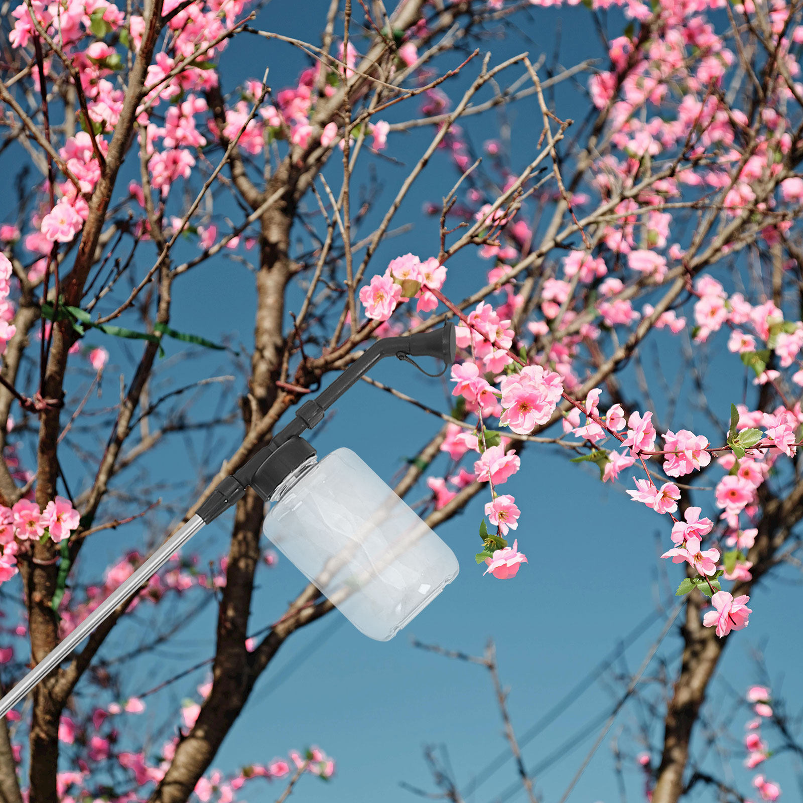 Manual Pollination Stick Handh - đánh giá và giá Flower Supply