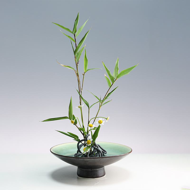 Japanese Ikebana Kenzan Flower - đánh giá và giá Flower Frog Pin