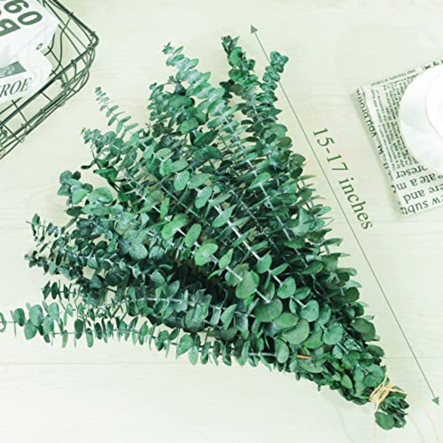 20 Pcs Preserved Dried Eucalyp - đánh giá và giá Eucalyptus Preserved