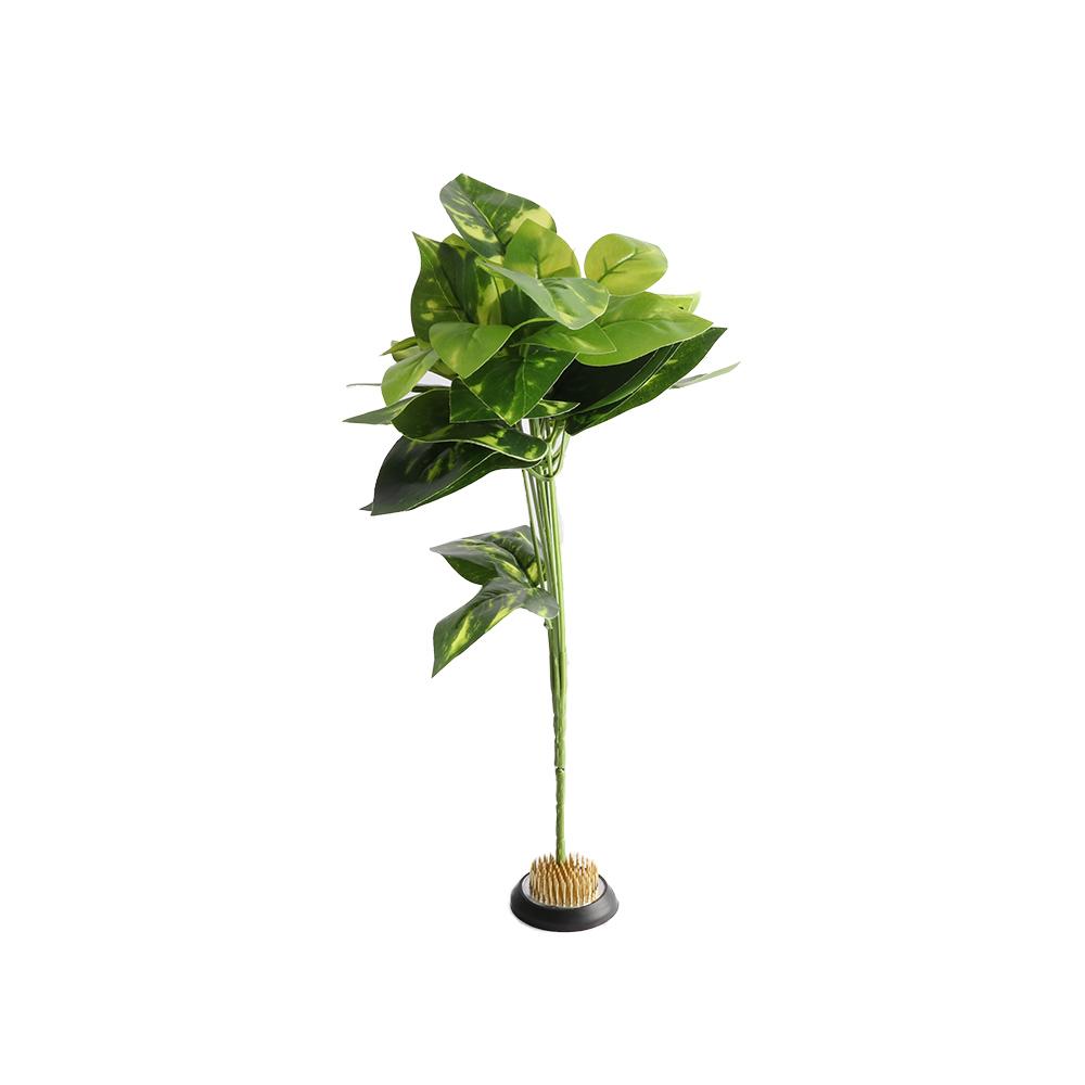 Rubber Kenzan Spiky Needle Flo - đánh giá và giá Flower Frog Pin