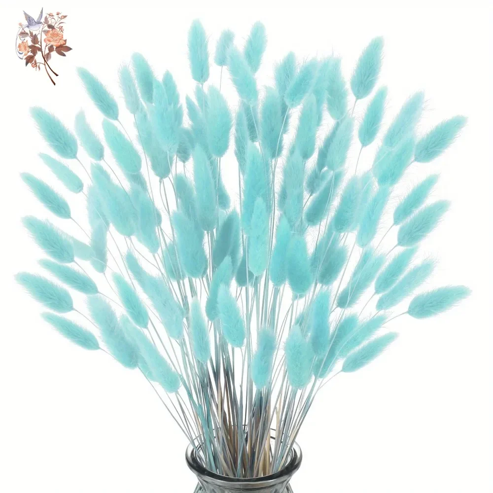 100Pcs Natural Rabbit Tails Gr - đánh giá và giá Dried Flower Bunch