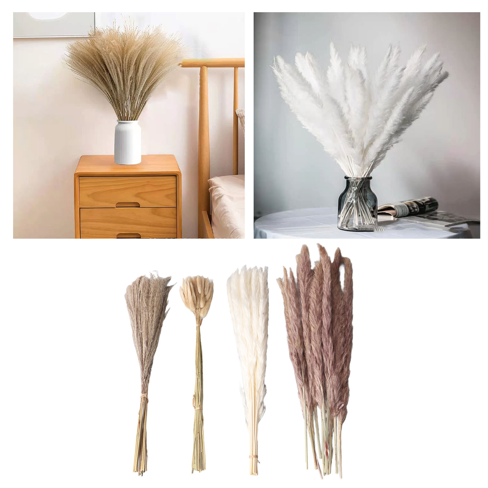 Natural Dried Pampas Grass Flu - đánh giá và giá Dried Flower Bunch
