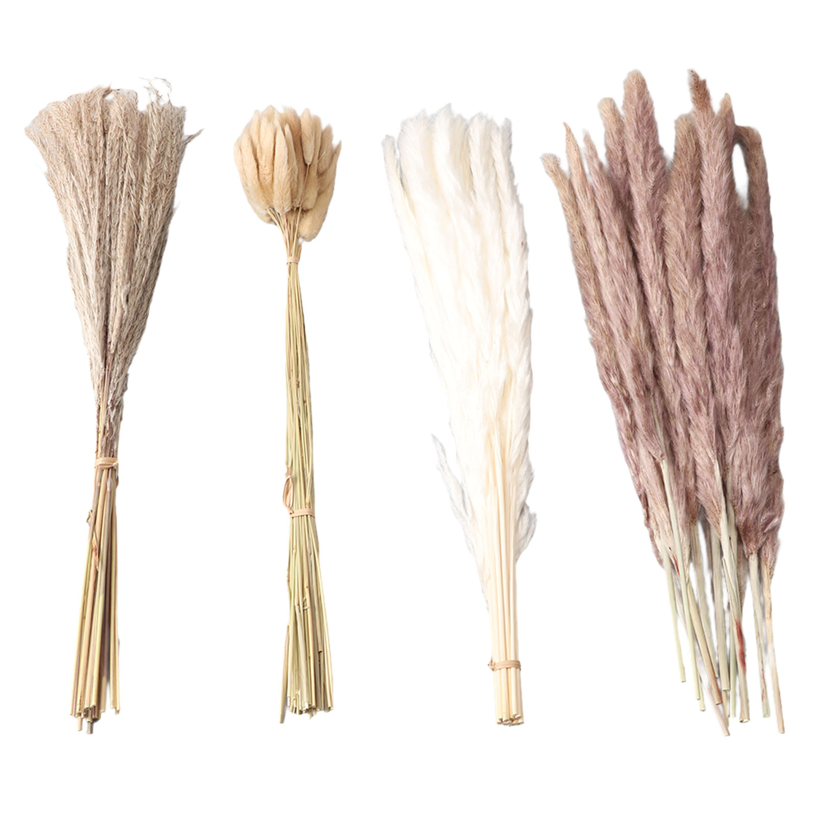 Natural Dried Pampas Grass Flu - đánh giá và giá Dried Flower Bunch