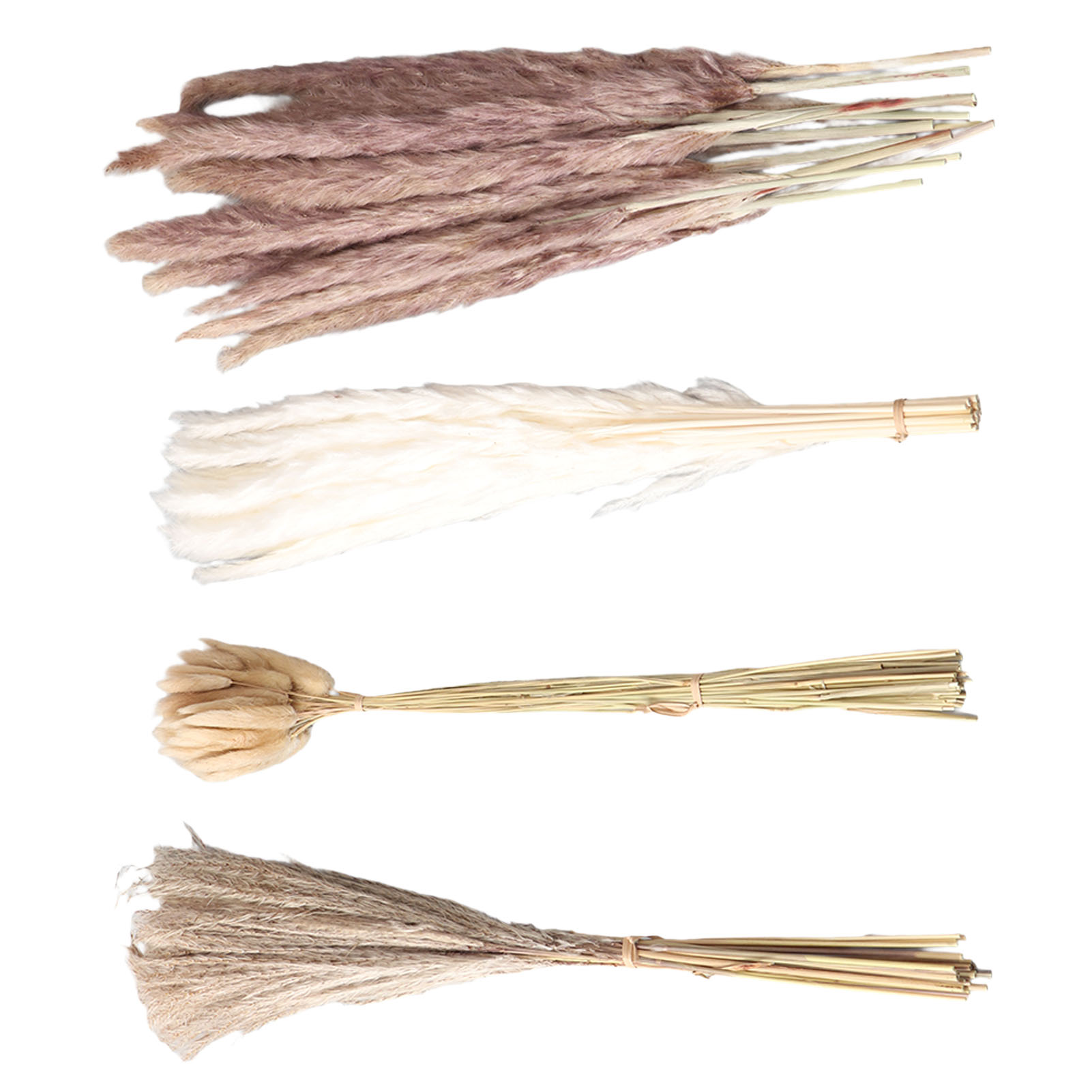 Natural Dried Pampas Grass Flu - đánh giá và giá Dried Flower Bunch