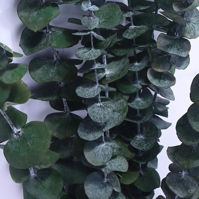20 Chiếc Bảo Quản Cho Tươi Nhá - đánh giá và giá Eucalyptus Preserved
