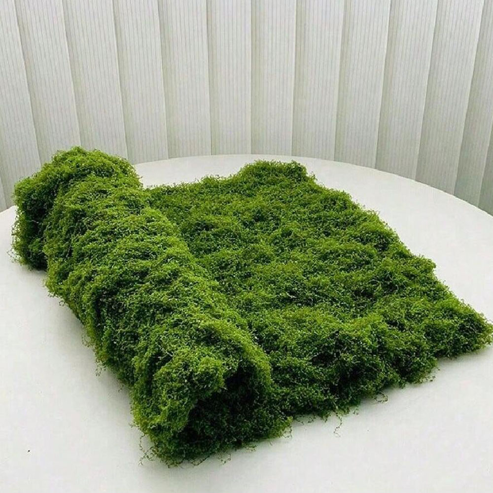 1*1m Fake Moss DIY Crafts Gras - đánh giá và giá Preserved Moss Sheet