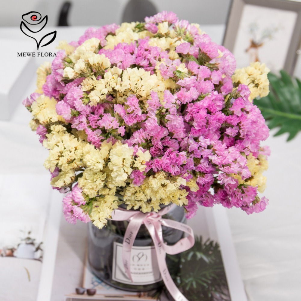 100g Dried Forget Me Not Flowe - đánh giá và giá Dried Flower Bunch