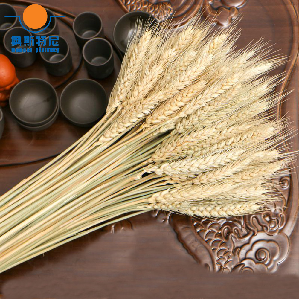 50pcs natural dried flower bou - đánh giá và giá Dried Flower Bunch