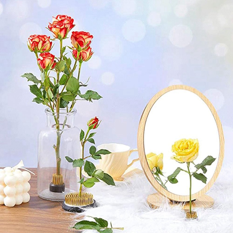Hot 12PCS Flower Frog, Kenzan  - đánh giá và giá Flower Frog Pin