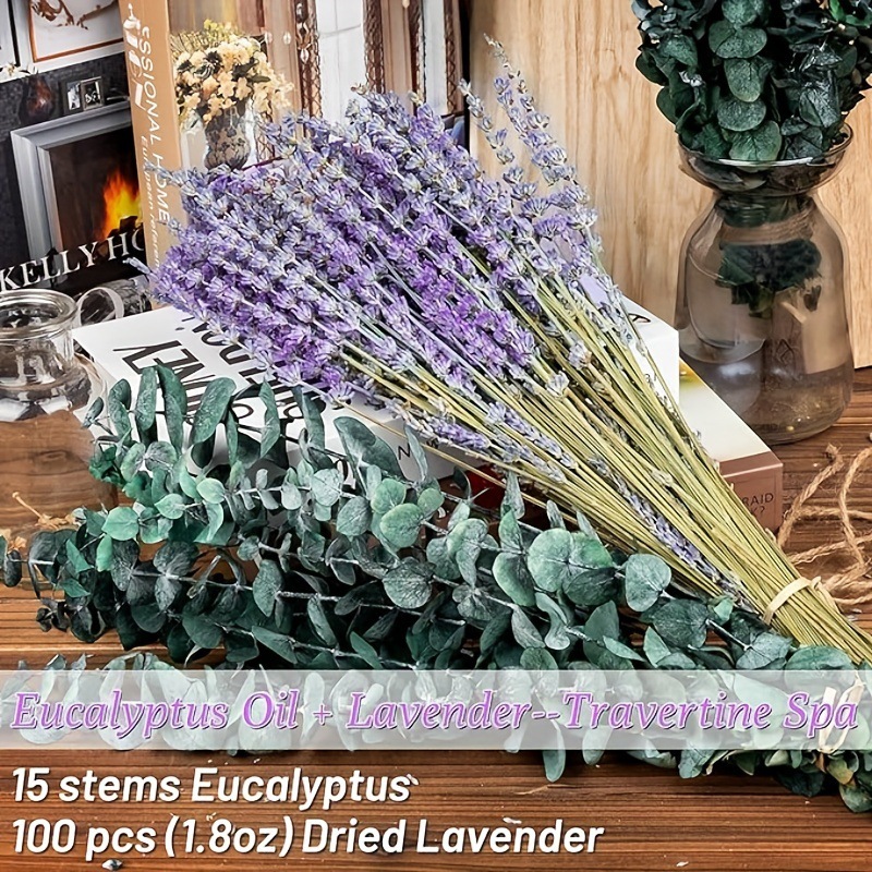 Preserved Lavender & Eucalyptu - đánh giá và giá Eucalyptus Preserved