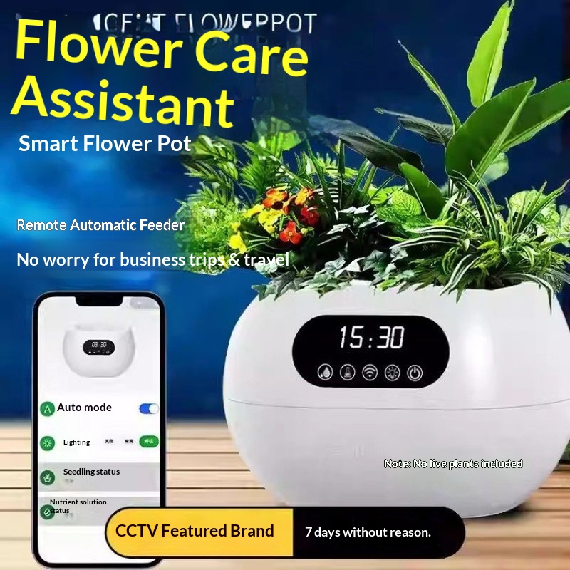 Ai Intelligent Flowerpot Autom - đánh giá và giá Flower Supply