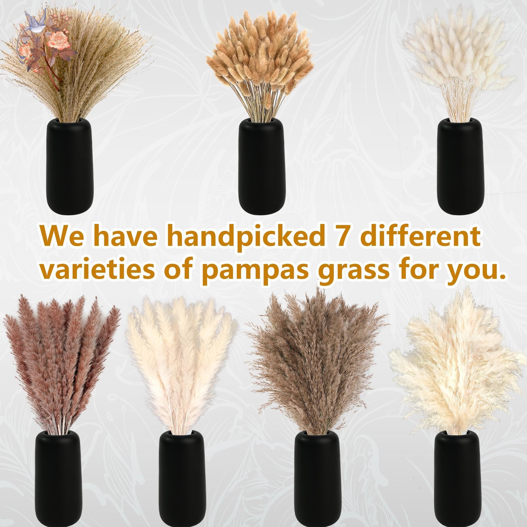 300Pcs Natural Large Pampas Gr - đánh giá và giá Dried Flower Bunch