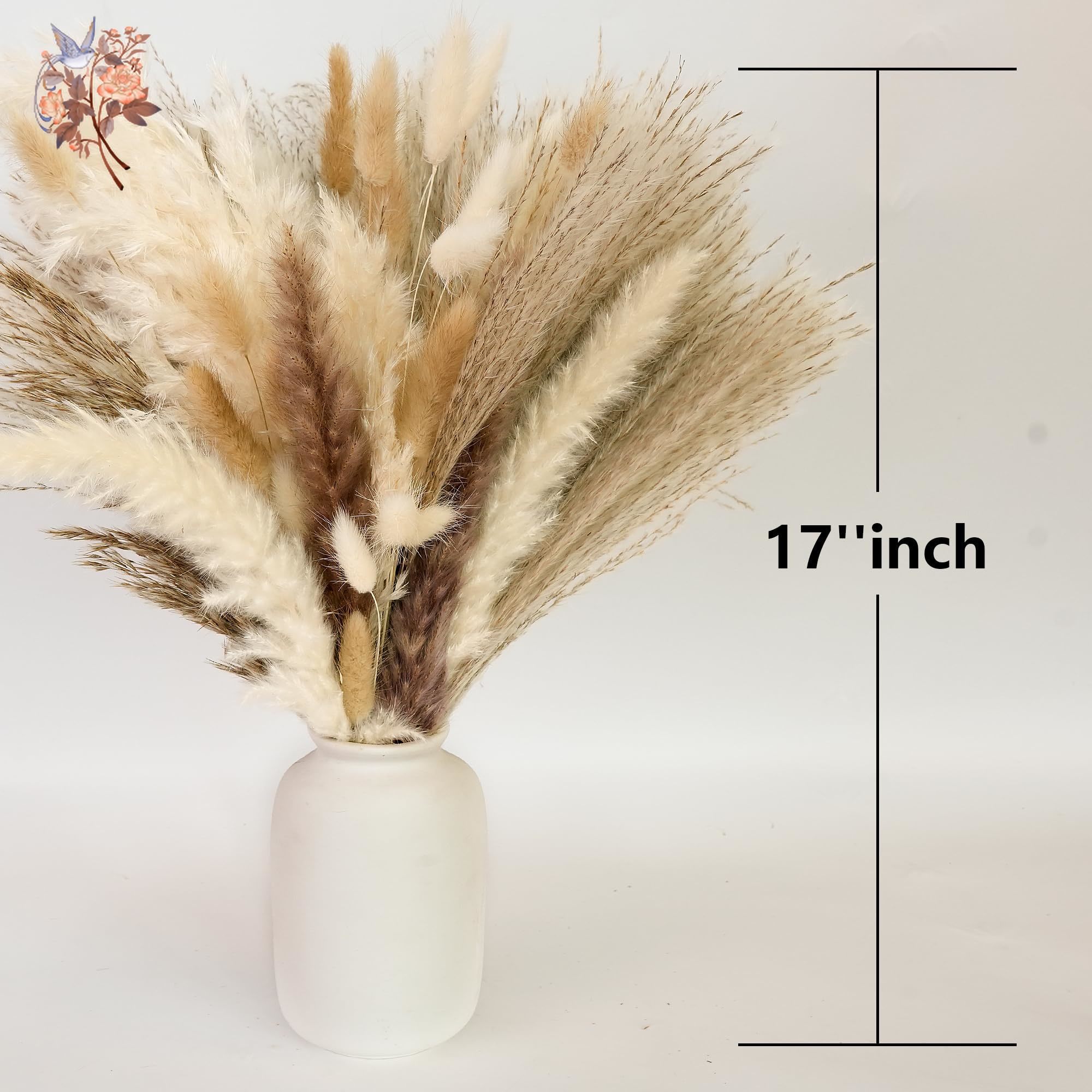 300Pcs Natural Large Pampas Gr - đánh giá và giá Dried Flower Bunch