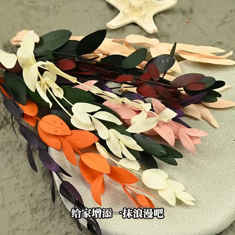 Dried  Flower Preserved Flower - đánh giá và giá Eucalyptus Preserved